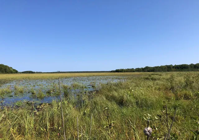 Photo 2 of Land for sale at Tbd 248th Place, Mc Gregor, MN 55760 | MLS# 7151918 | Listing updated on 2026-09-29