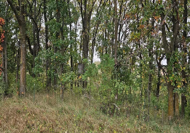 Photo 3 of Land for sale at Tbd County Hwy 127, Ottertail, MN 56571 | MLS# 7151947 | Listing updated on 2026-09-29