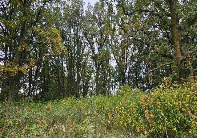 Photo 4 of Land for sale at Tbd County Hwy 127, Ottertail, MN 56571 | MLS# 7151947 | Listing updated on 2026-09-29