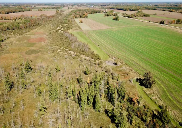 Photo 2 of Land for sale at 40939 Cr 75, Bertha, MN 56437 | MLS# 7152011 | Listing updated on 2026-10-07