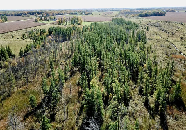 Photo 3 of Land for sale at 40939 Cr 75, Bertha, MN 56437 | MLS# 7152011 | Listing updated on 2026-10-07