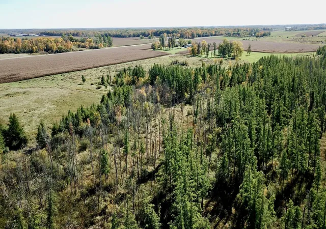 Photo 3 of Land for sale at 40939 Cr 75, Bertha, MN 56437 | MLS# 7152011 | Listing updated on 2026-10-07