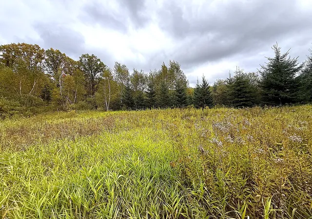 Photo 1 of Land for sale at Tbd 360th Street, Onamia, MN 56359 | MLS# 7152044 | Listing updated on 2026-10-01
