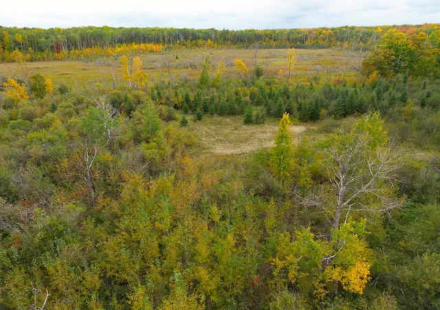 Photo 2 of Land for sale at Tbd 360th Street, Onamia, MN 56359 | MLS# 7152044 | Listing updated on 2026-10-01