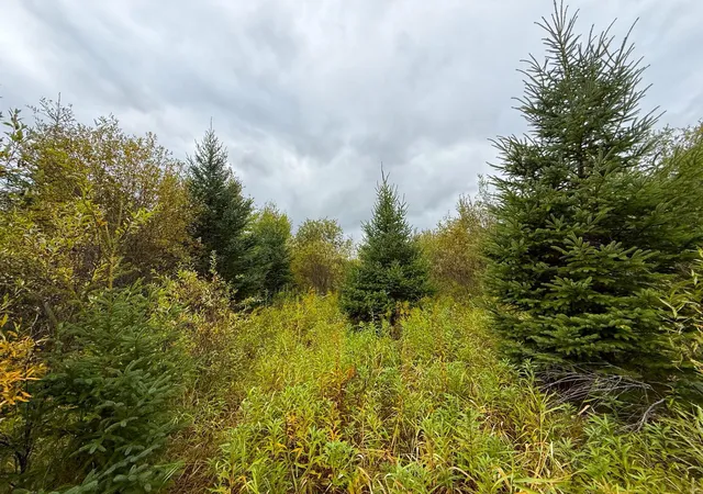 Photo 3 of Land for sale at Tbd 360th Street, Onamia, MN 56359 | MLS# 7152044 | Listing updated on 2026-10-01