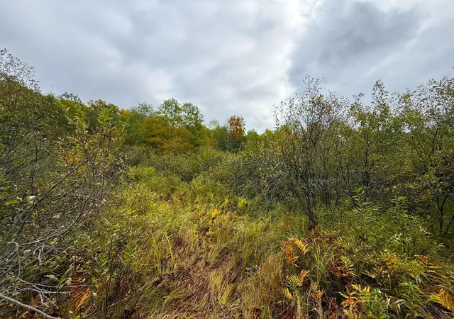 Photo 4 of Land for sale at Tbd 360th Street, Onamia, MN 56359 | MLS# 7152044 | Listing updated on 2026-10-01
