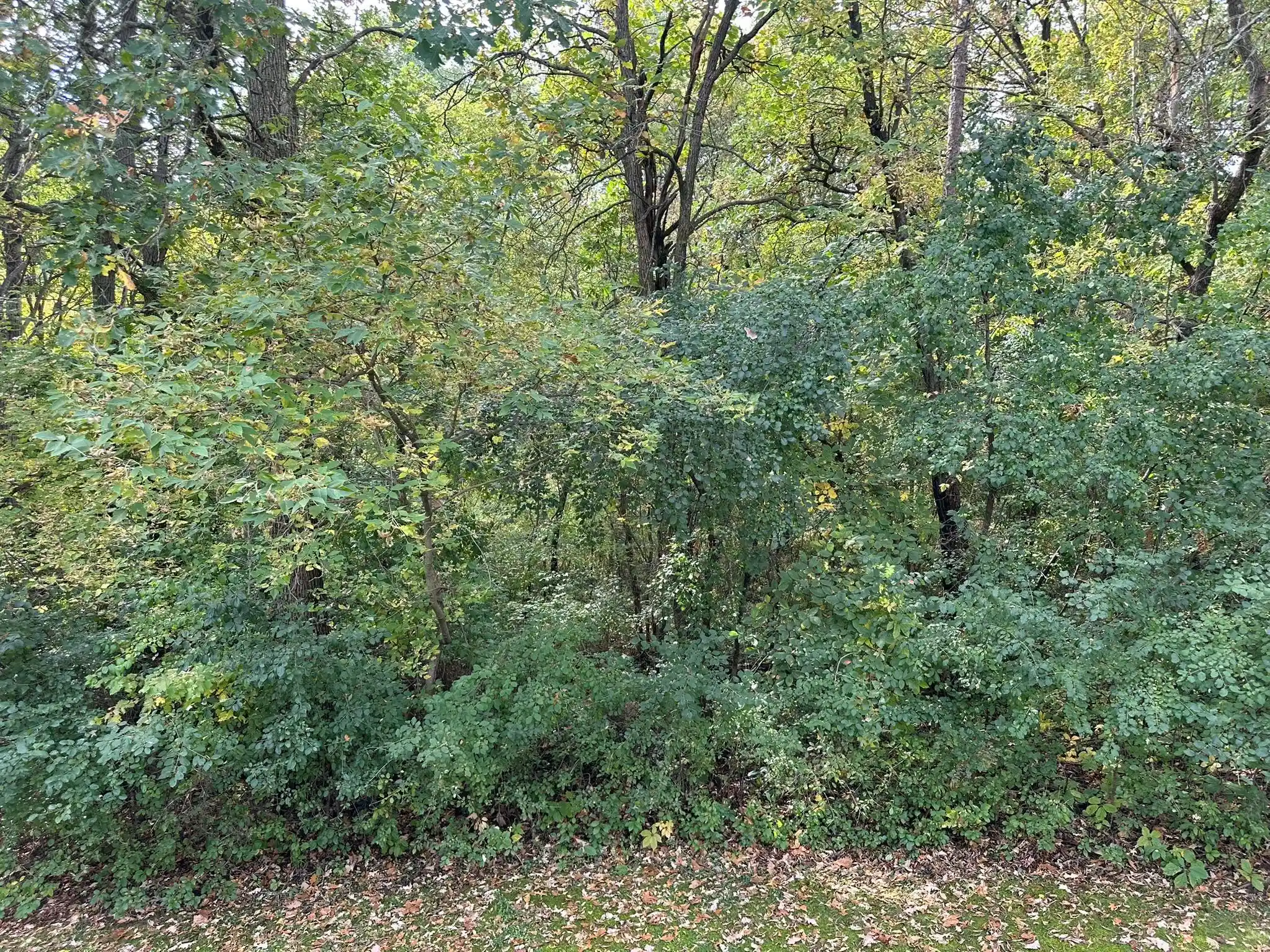 Listing Photo 41 - Condo for sale in 806 Pine St located at 806 Pine St, Park Rapids, MN 56470 - Unit 806 Pine St
