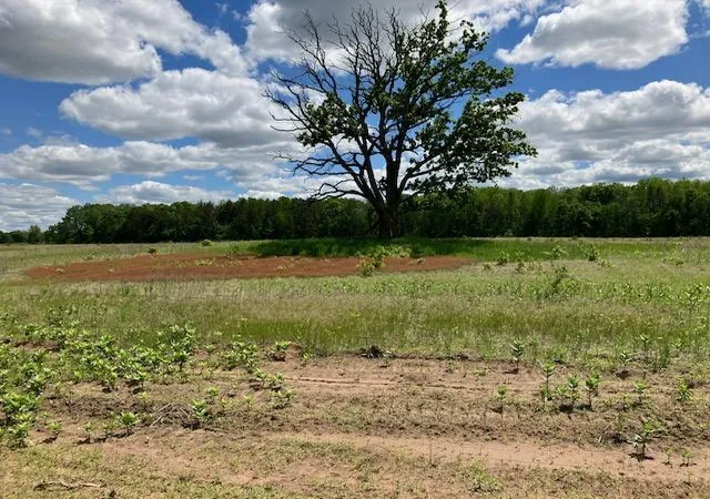 Photo 4 of Land for sale at Parcel C Keystone Ave, Harris, MN 55032 | MLS# 7152110 | Listing updated on 2026-10-04