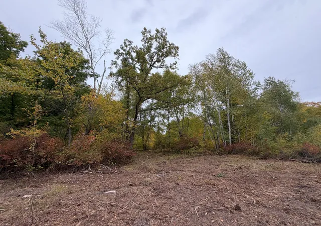 Photo 1 of Land for sale at 51315 Sand Crk Rd, Bruno, MN 55712 | MLS# 7152138 | Listing updated on 2026-10-09