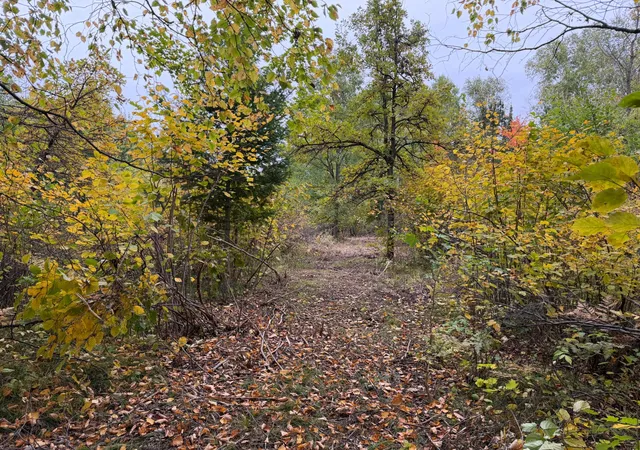 Photo 2 of Land for sale at 51315 Sand Crk Rd, Bruno, MN 55712 | MLS# 7152138 | Listing updated on 2026-10-09
