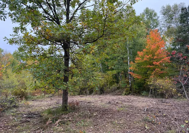 Photo 3 of Land for sale at 51315 Sand Crk Rd, Bruno, MN 55712 | MLS# 7152138 | Listing updated on 2026-10-09
