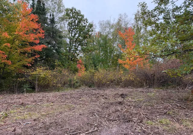 Photo 3 of Land for sale at 51315 Sand Crk Rd, Bruno, MN 55712 | MLS# 7152138 | Listing updated on 2026-10-09