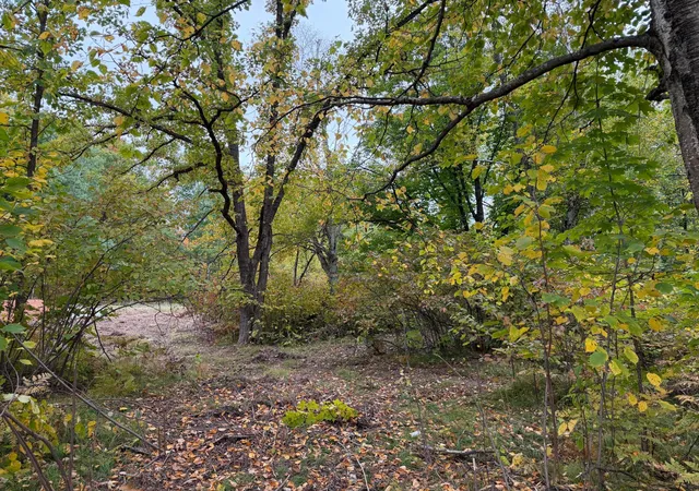 Photo 4 of Land for sale at 51315 Sand Crk Rd, Bruno, MN 55712 | MLS# 7152138 | Listing updated on 2026-10-09