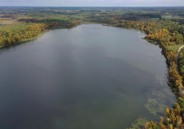 Photo 3 of Land for sale at 4558 Angelas Dr, Pine River, MN 56474 | MLS# 7152141 | Listing updated on 2026-09-29