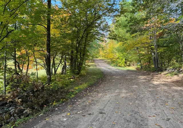 Photo 4 of Land for sale at 4558 Angelas Dr, Pine River, MN 56474 | MLS# 7152141 | Listing updated on 2026-09-29