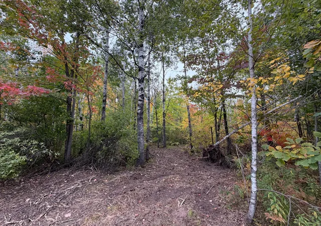 Photo 1 of Land for sale at 51449 Sand Crk Rd, Bruno, MN 55712 | MLS# 7152235 | Listing updated on 2026-09-29