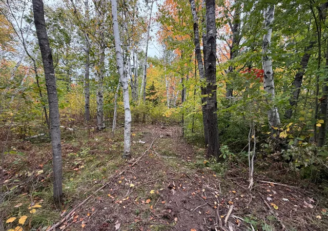 Photo 2 of Land for sale at 51449 Sand Crk Rd, Bruno, MN 55712 | MLS# 7152235 | Listing updated on 2026-09-29
