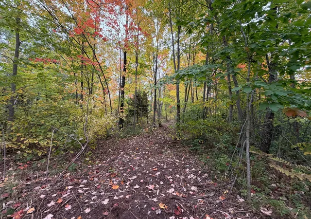 Photo 3 of Land for sale at 51449 Sand Crk Rd, Bruno, MN 55712 | MLS# 7152235 | Listing updated on 2026-09-29