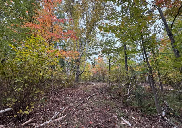 Photo 3 of Land for sale at 51449 Sand Crk Rd, Bruno, MN 55712 | MLS# 7152235 | Listing updated on 2026-09-29
