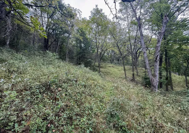 Photo 81 of Single family home for sale at 9516 County 4, Houston, MN 55943 | MLS# 7152343 | Listing updated on 2026-10-02