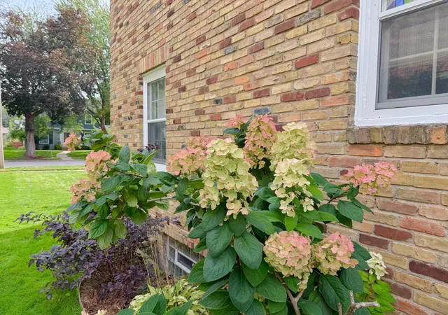 Photo 4 of Single family home for sale at 5632 10th Avenue S, Minneapolis, MN 55417 | MLS# 7152386 | Listing updated on 2026-10-23