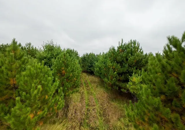Photo 1 of Land for sale at County Line Ave, Clear Lake, WI 54005 | MLS# 7152574 | Listing updated on 2026-10-01