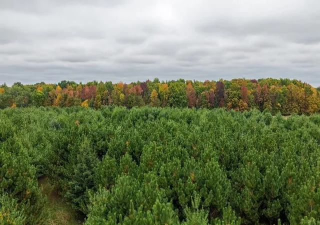 Photo 3 of Land for sale at County Line Ave, Clear Lake, WI 54005 | MLS# 7152574 | Listing updated on 2026-10-01