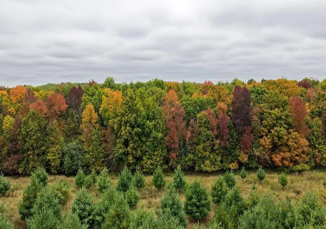 Photo 4 of Land for sale at County Line Ave, Clear Lake, WI 54005 | MLS# 7152574 | Listing updated on 2026-10-01