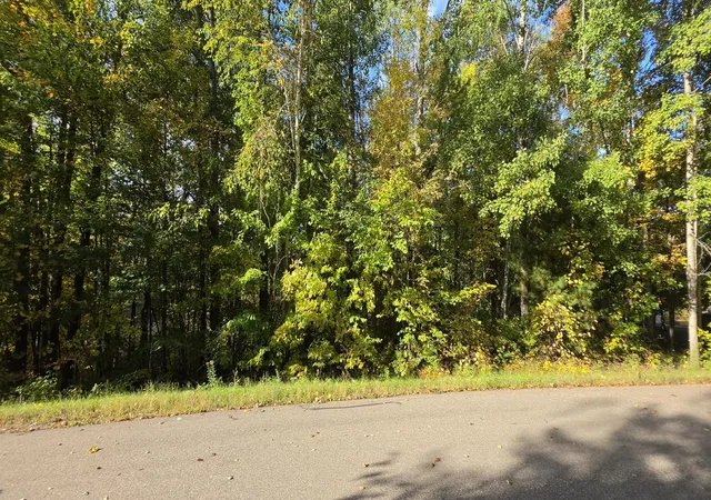 Photo 1 of Land for sale at Tbd Easy St, Cushing, MN 56443 | MLS# 7152684 | Listing updated on 2026-10-01