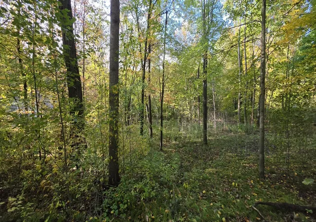 Photo 4 of Land for sale at Tbd Easy St, Cushing, MN 56443 | MLS# 7152684 | Listing updated on 2026-10-01