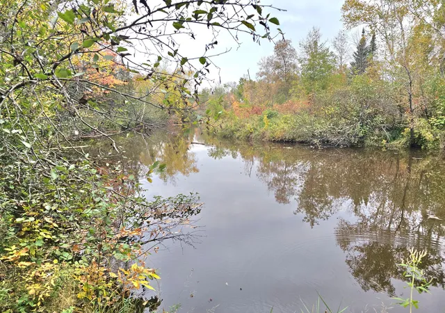 Photo 2 of Land for sale at Tbd 170th Lane, Mc Grath, MN 56350 | MLS# 7152768 | Listing updated on 2026-10-01