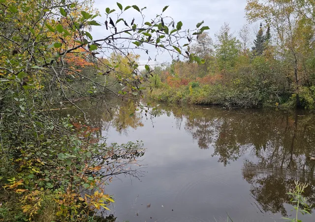 Photo 3 of Land for sale at Tbd 170th Lane, Mc Grath, MN 56350 | MLS# 7152768 | Listing updated on 2026-10-01
