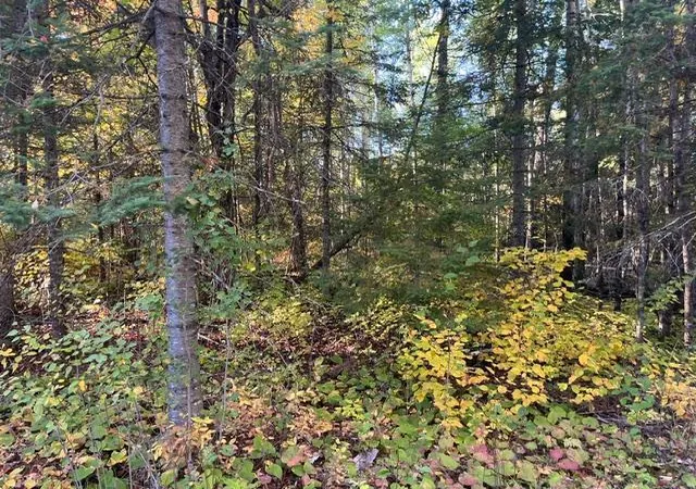 Photo 2 of Land for sale at Tbd Lost Lake Rd, Tower, MN 55790 | MLS# 7152805 | Listing updated on 2026-10-05
