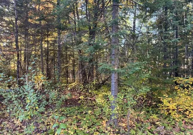 Photo 3 of Land for sale at Tbd Lost Lake Rd, Tower, MN 55790 | MLS# 7152805 | Listing updated on 2026-10-05