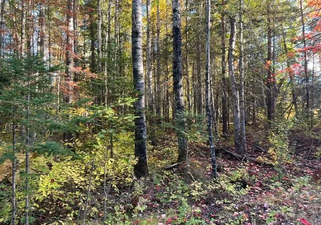 Photo 4 of Land for sale at Tbd Lost Lake Rd, Tower, MN 55790 | MLS# 7152805 | Listing updated on 2026-10-05