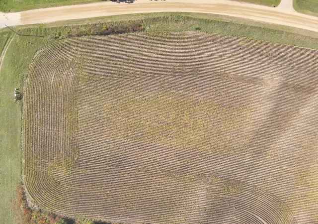 Photo 4 of Land for sale at Xxxxx 402nd Ave Tract A, Clitherall, MN 56524 | MLS# 7153096 | Listing updated on 2026-10-02