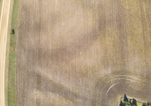 Photo 3 of Land for sale at Xxxxx 402nd Ave Tract B, Clitherall, MN 56524 | MLS# 7153107 | Listing updated on 2026-10-01