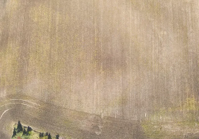 Photo 3 of Land for sale at Xxxxx 402nd Ave Tract C, Clitherall, MN 56524 | MLS# 7153115 | Listing updated on 2026-10-01