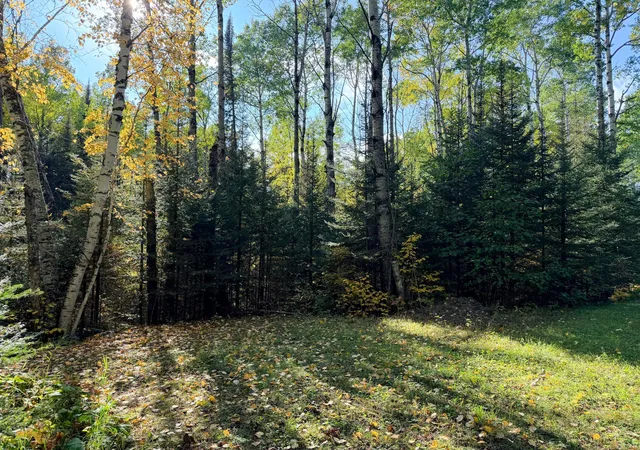 Photo 3 of Land for sale at 4603 North Rd, Grand Marais, MN 55604 | MLS# 7153126 | Listing updated on 2026-10-02