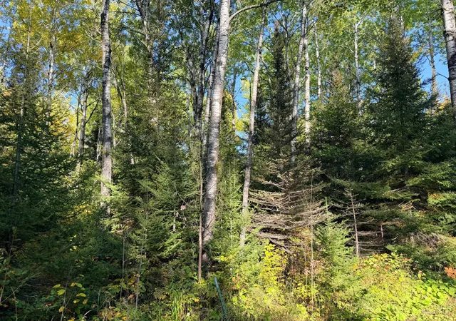Photo 3 of Land for sale at 4603 North Rd, Grand Marais, MN 55604 | MLS# 7153126 | Listing updated on 2026-10-02