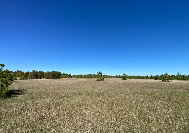 Photo 2 of Land for sale at Tbd Crooked River Dr Tract B, Park Rapids, MN 56470 | MLS# 7153242 | Listing updated on 2026-10-02