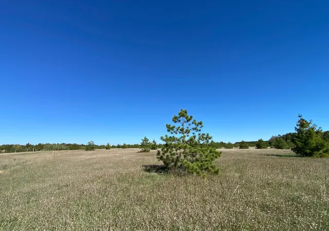 Photo 3 of Land for sale at Tbd Crooked River Dr Tract B, Park Rapids, MN 56470 | MLS# 7153242 | Listing updated on 2026-10-02