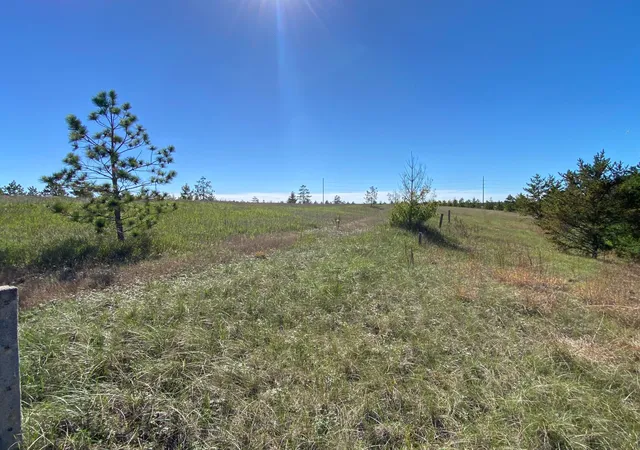 Photo 4 of Land for sale at Tbd Crooked River Dr Tract B, Park Rapids, MN 56470 | MLS# 7153242 | Listing updated on 2026-10-02
