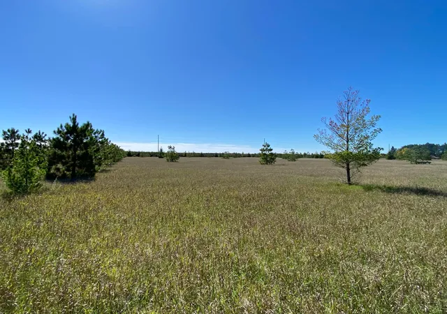 Photo 2 of Land for sale at Tbd Crooked River Dr Tract C, Park Rapids, MN 56470 | MLS# 7153252 | Listing updated on 2026-10-02