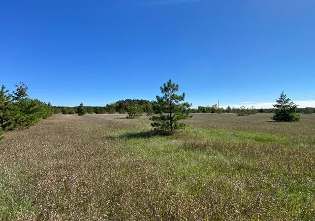 Photo 3 of Land for sale at Tbd Crooked River Dr Tract C, Park Rapids, MN 56470 | MLS# 7153252 | Listing updated on 2026-10-02