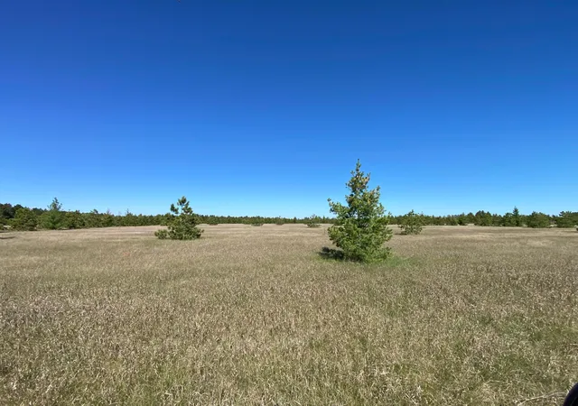 Photo 4 of Land for sale at Tbd Crooked River Dr Tract C, Park Rapids, MN 56470 | MLS# 7153252 | Listing updated on 2026-10-02