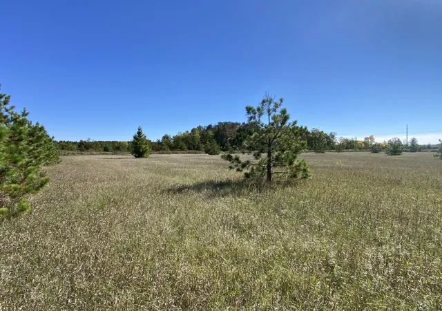 Photo 2 of Land for sale at Tbd Crooked River Dr Tract D, Park Rapids, MN 56470 | MLS# 7153258 | Listing updated on 2026-10-02