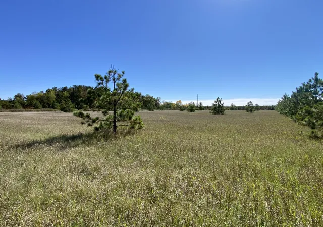 Photo 3 of Land for sale at Tbd Crooked River Dr Tract D, Park Rapids, MN 56470 | MLS# 7153258 | Listing updated on 2026-10-02