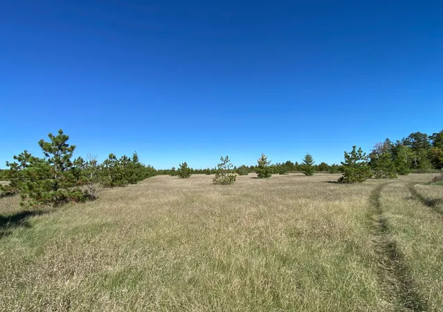 Photo 3 of Land for sale at Tbd Crooked River Dr Tract D, Park Rapids, MN 56470 | MLS# 7153258 | Listing updated on 2026-10-02