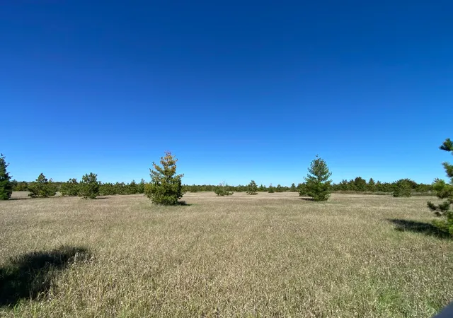 Photo 4 of Land for sale at Tbd Crooked River Dr Tract D, Park Rapids, MN 56470 | MLS# 7153258 | Listing updated on 2026-10-02
